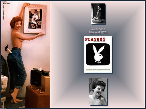 Playboy Centerfolds Ultra High Quality The Full 1953-2015 Year