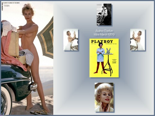 Playboy Centerfolds Ultra High Quality The Full 1953-2015 Year