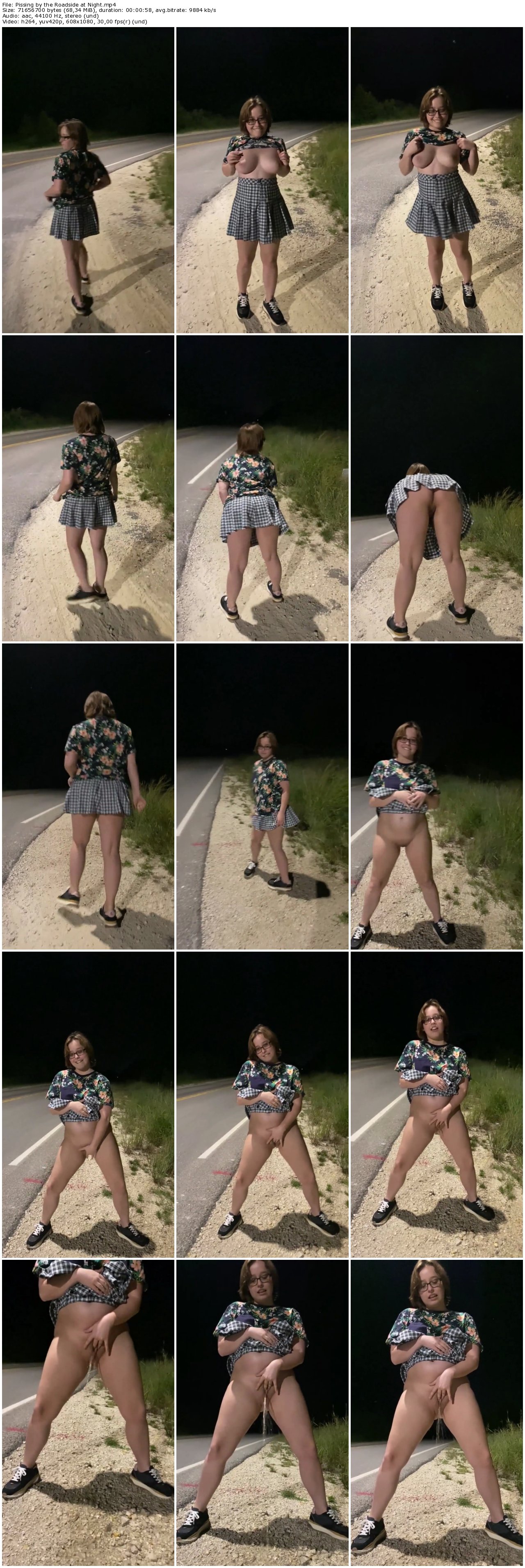 Pissing by the Roadside at Night_thumb.jpg